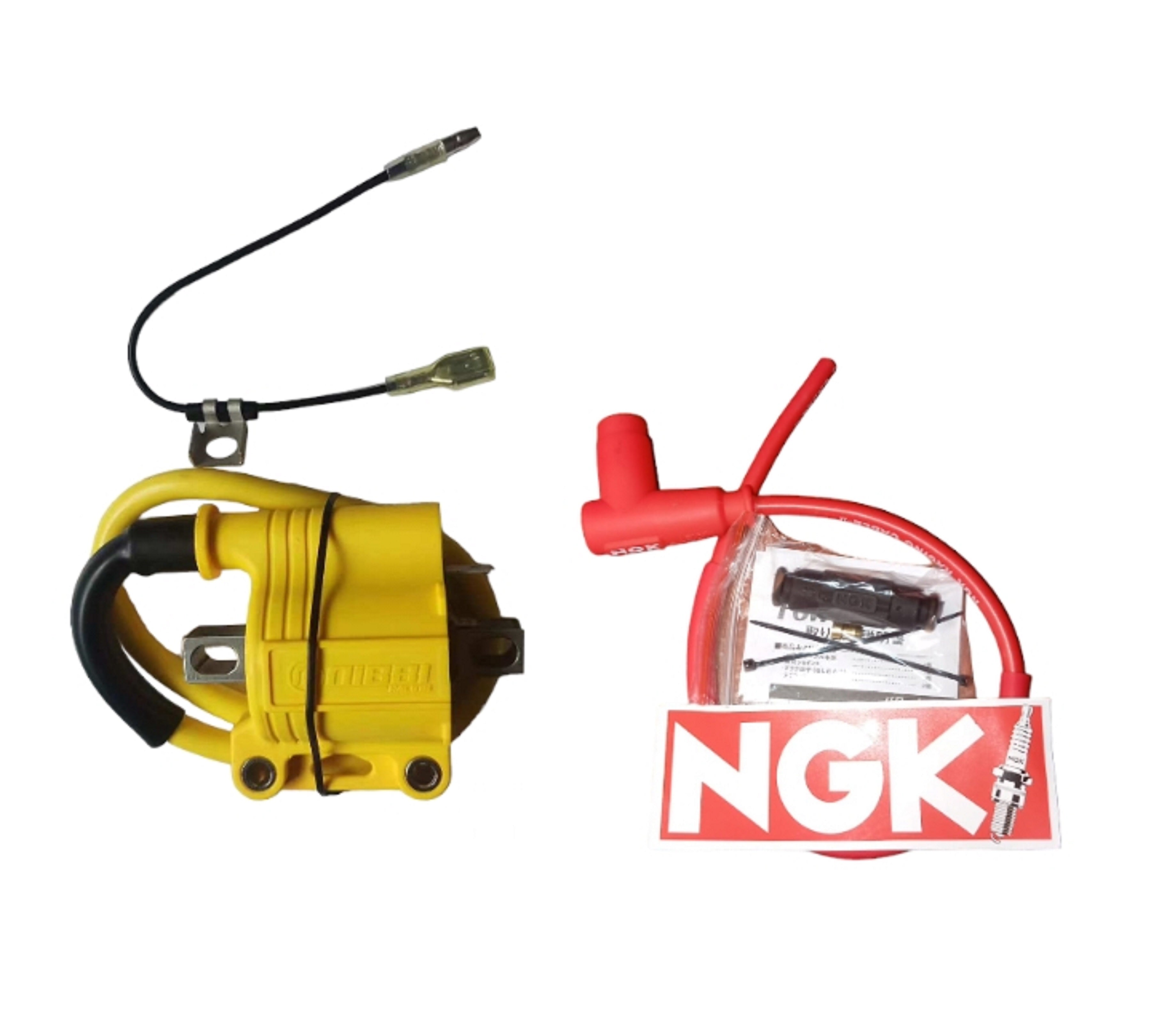 BOBINA NIBBI MAS CASBLE NGK